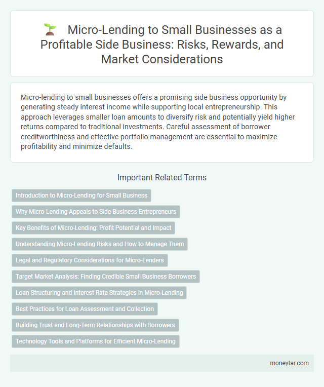 Micro-Lending to Small Businesses as a Profitable Side Business: Risks, Rewards, and Market Considerations