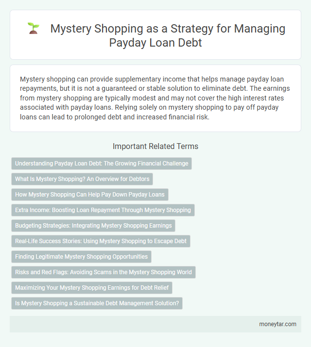 Mystery Shopping as a Strategy for Managing Payday Loan Debt