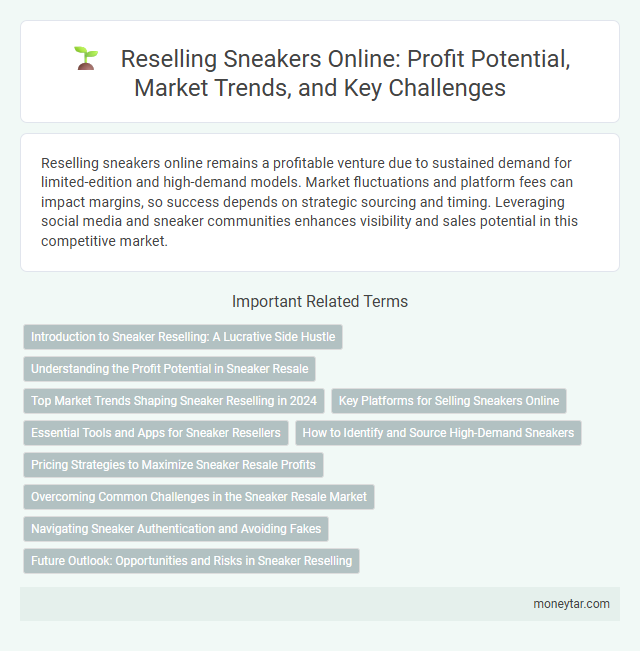Reselling Sneakers Online: Profit Potential, Market Trends, and Key Challenges