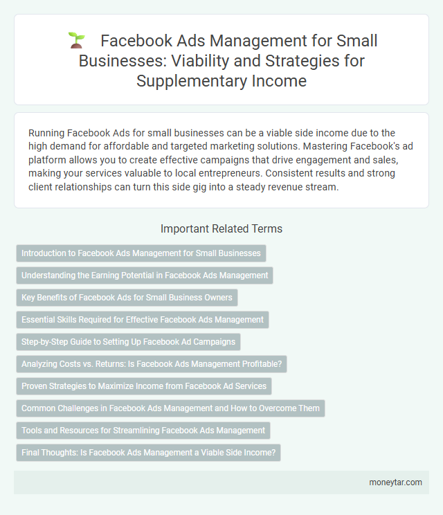 Facebook Ads Management for Small Businesses: Viability and Strategies for Supplementary Income