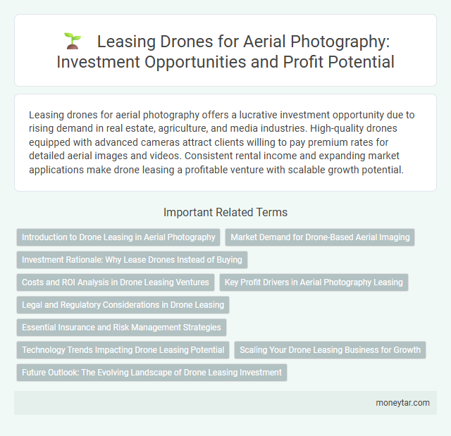 Leasing Drones for Aerial Photography: Investment Opportunities and Profit Potential