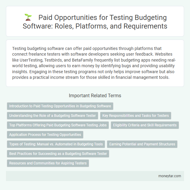 Paid Opportunities for Testing Budgeting Software: Roles, Platforms, and Requirements