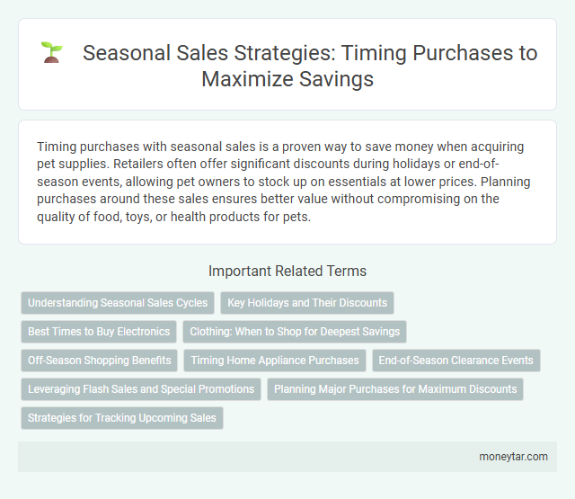 Seasonal Sales Strategies: Timing Purchases to Maximize Savings