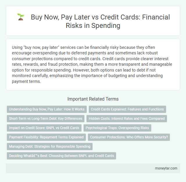 Buy Now, Pay Later vs Credit Cards: Financial Risks in Spending
