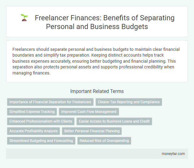 Freelancer Finances: Benefits of Separating Personal and Business Budgets