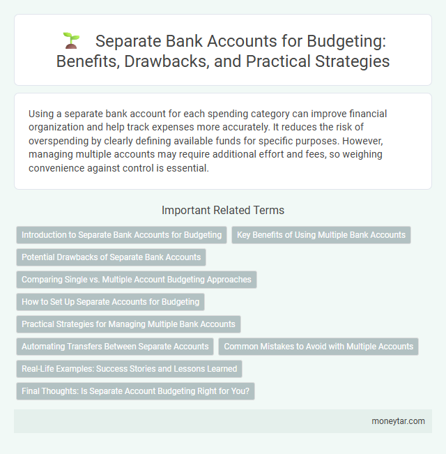 Separate Bank Accounts for Budgeting: Benefits, Drawbacks, and Practical Strategies