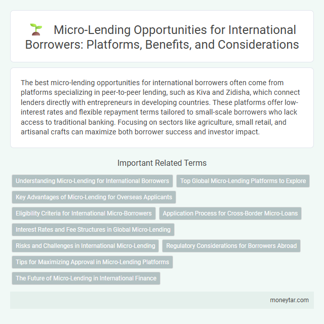 Micro-Lending Opportunities for International Borrowers: Platforms, Benefits, and Considerations