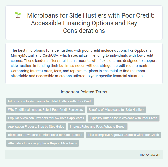 Microloans for Side Hustlers with Poor Credit: Accessible Financing Options and Key Considerations