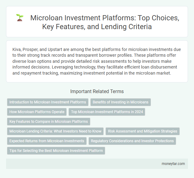 Microloan Investment Platforms: Top Choices, Key Features, and Lending Criteria