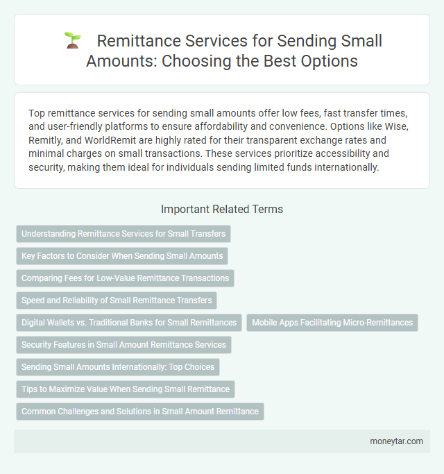 Remittance Services for Sending Small Amounts: Choosing the Best Options