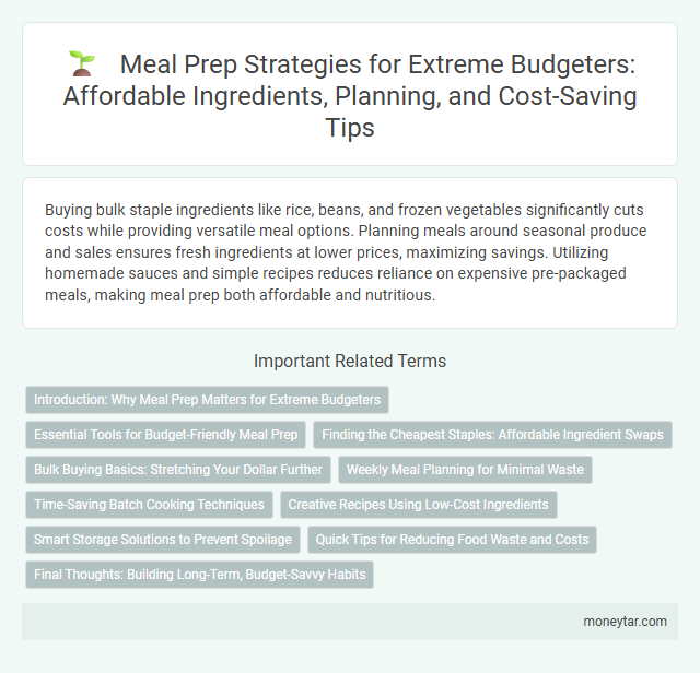 Meal Prep Strategies for Extreme Budgeters: Affordable Ingredients, Planning, and Cost-Saving Tips