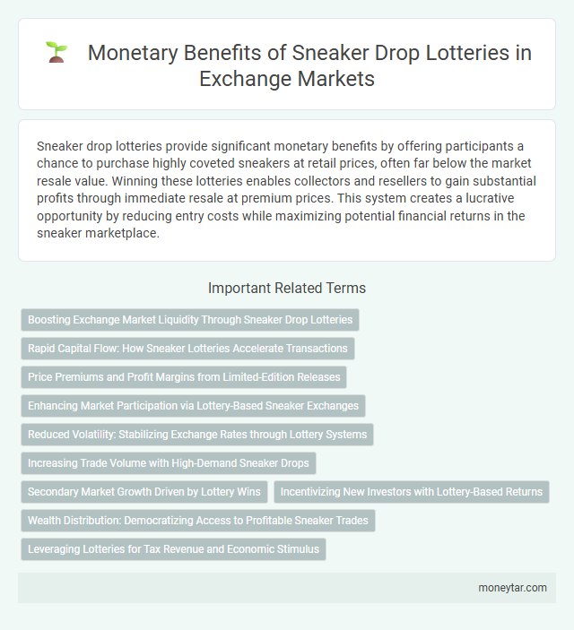 Monetary Benefits of Sneaker Drop Lotteries in Exchange Markets