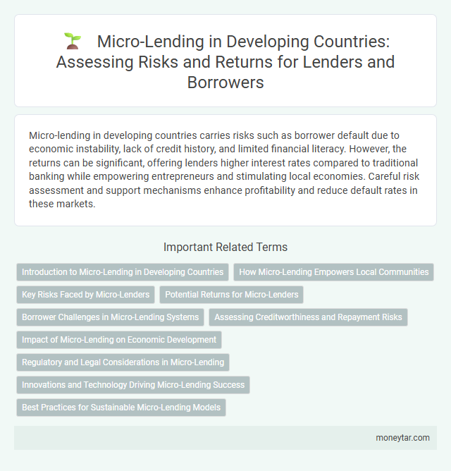 Micro-Lending in Developing Countries: Assessing Risks and Returns for Lenders and Borrowers