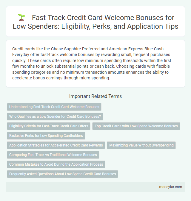 Fast-Track Credit Card Welcome Bonuses for Low Spenders: Eligibility, Perks, and Application Tips