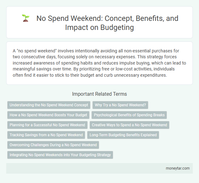 No Spend Weekend: Concept, Benefits, and Impact on Budgeting