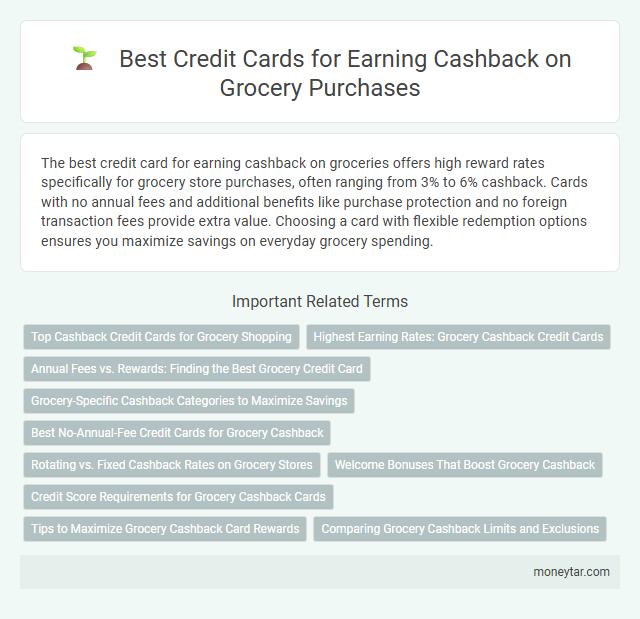 Best Credit Cards for Earning Cashback on Grocery Purchases