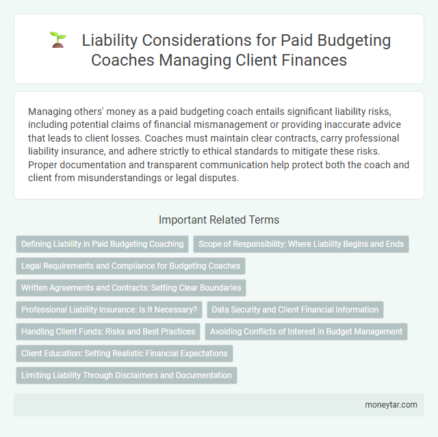 Liability Considerations for Paid Budgeting Coaches Managing Client Finances