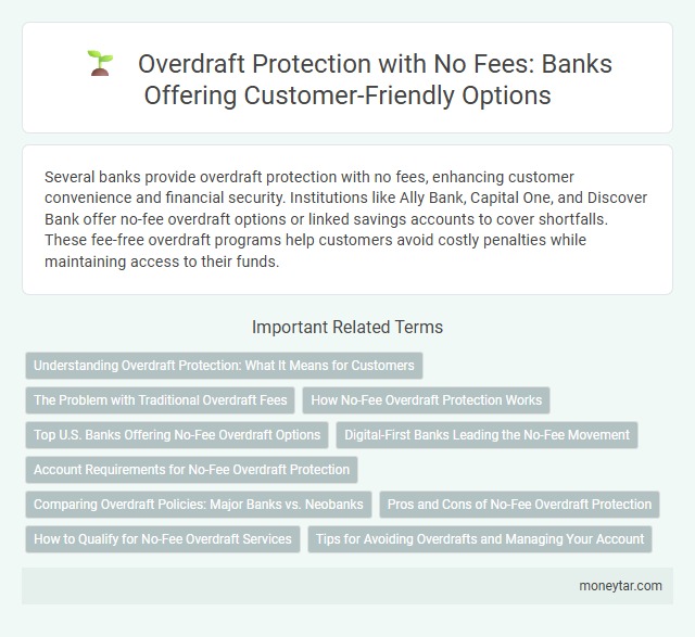 Overdraft Protection with No Fees: Banks Offering Customer-Friendly Options