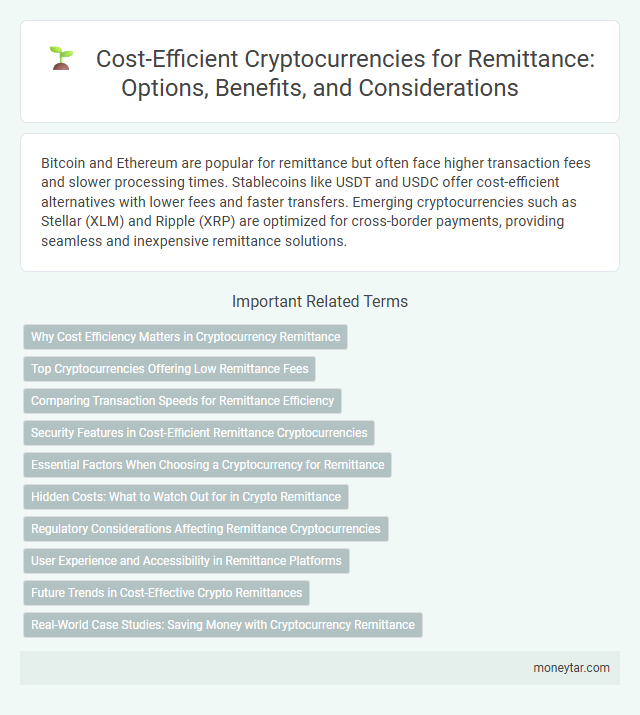Cost-Efficient Cryptocurrencies for Remittance: Options, Benefits, and Considerations