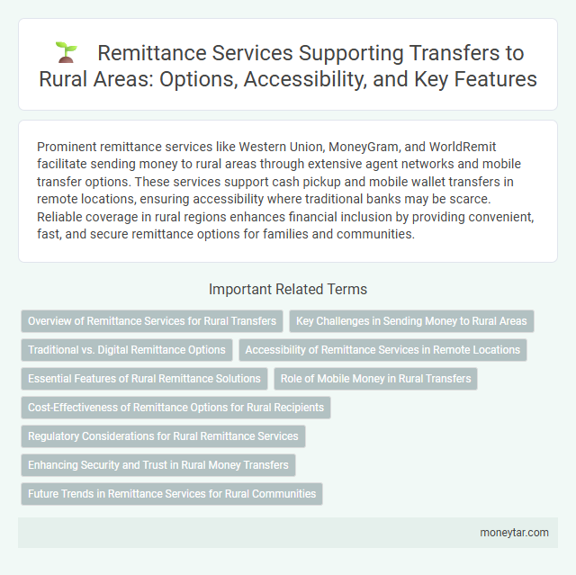 Remittance Services Supporting Transfers to Rural Areas: Options, Accessibility, and Key Features