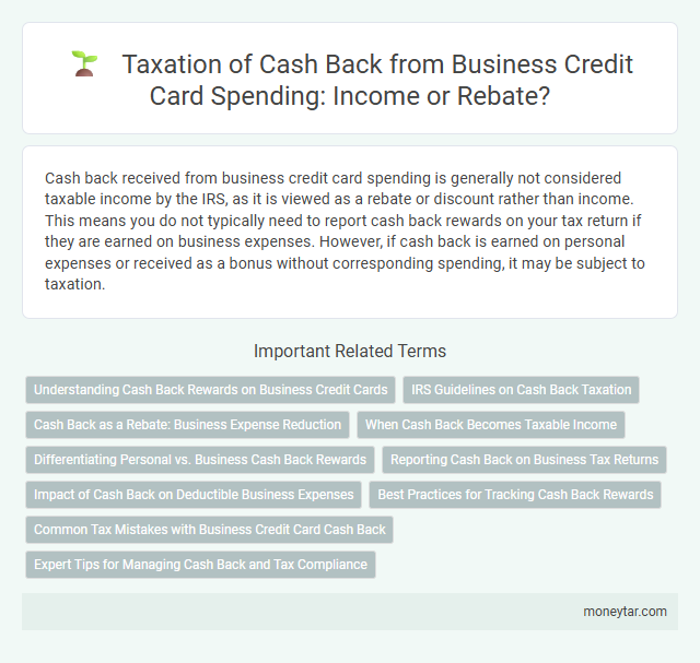 Taxation of Cash Back from Business Credit Card Spending: Income or Rebate?