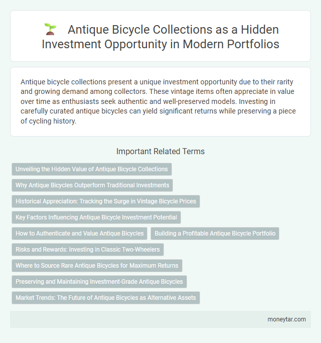Antique Bicycle Collections as a Hidden Investment Opportunity in Modern Portfolios