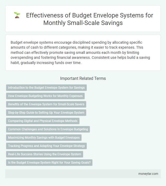Effectiveness of Budget Envelope Systems for Monthly Small-Scale Savings