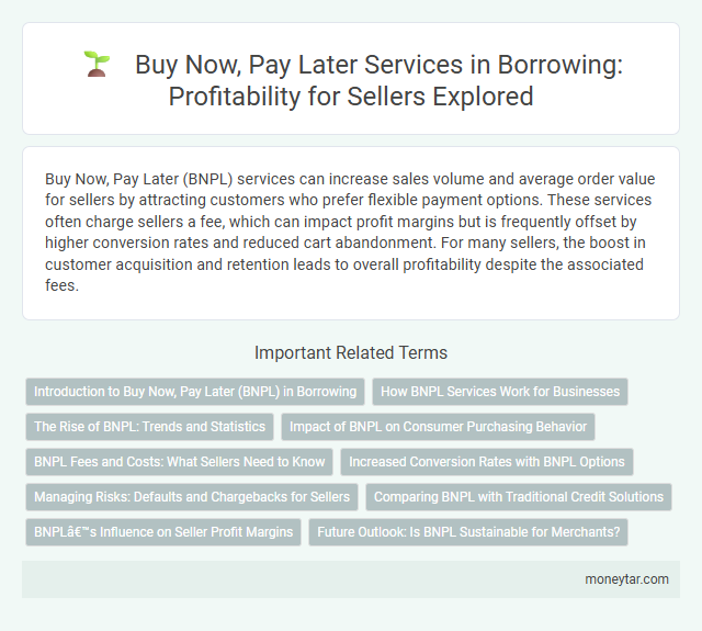 Buy Now, Pay Later Services in Borrowing: Profitability for Sellers Explored