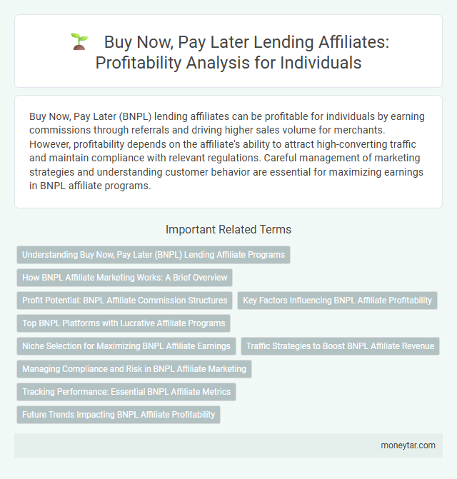 Buy Now, Pay Later Lending Affiliates: Profitability Analysis for Individuals