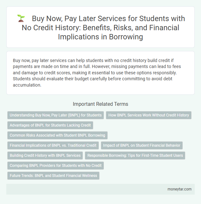 Buy Now, Pay Later Services for Students with No Credit History: Benefits, Risks, and Financial Implications in Borrowing