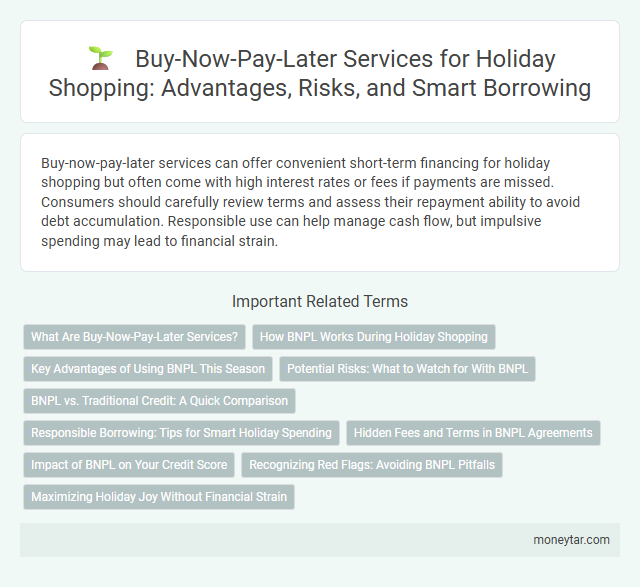 Buy-Now-Pay-Later Services for Holiday Shopping: Advantages, Risks, and Smart Borrowing