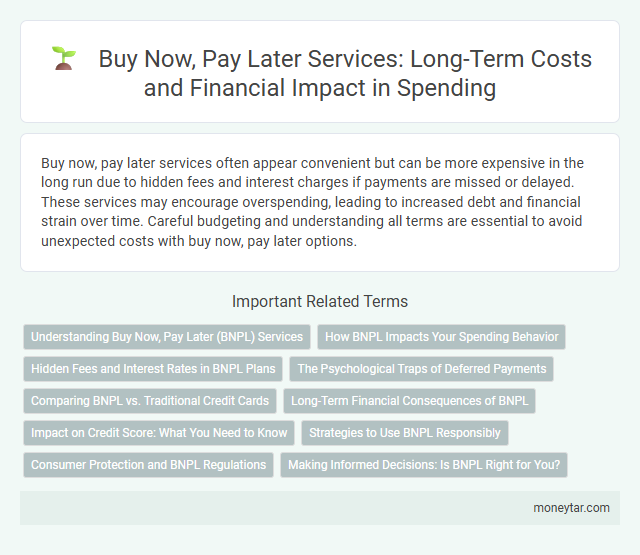Buy Now, Pay Later Services: Long-Term Costs and Financial Impact in Spending