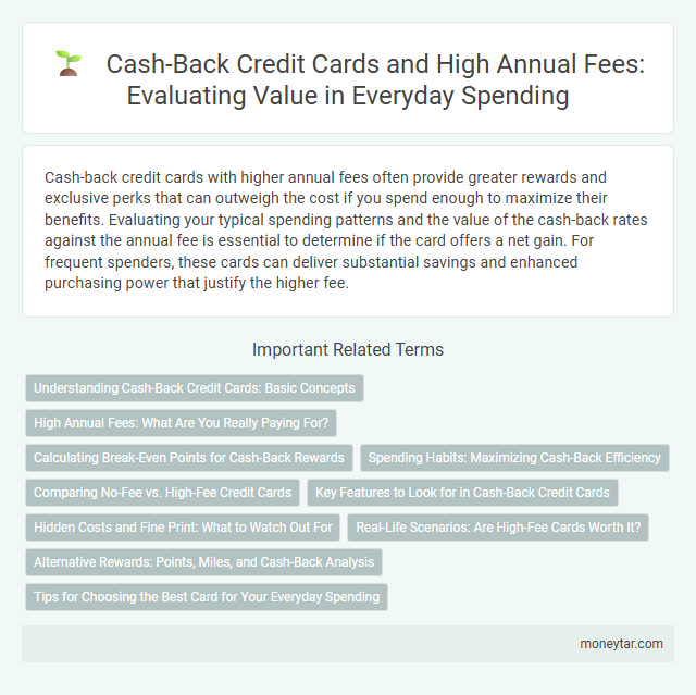 Cash-Back Credit Cards and High Annual Fees: Evaluating Value in Everyday Spending