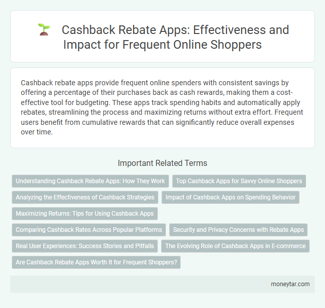 Cashback Rebate Apps: Effectiveness and Impact for Frequent Online Shoppers