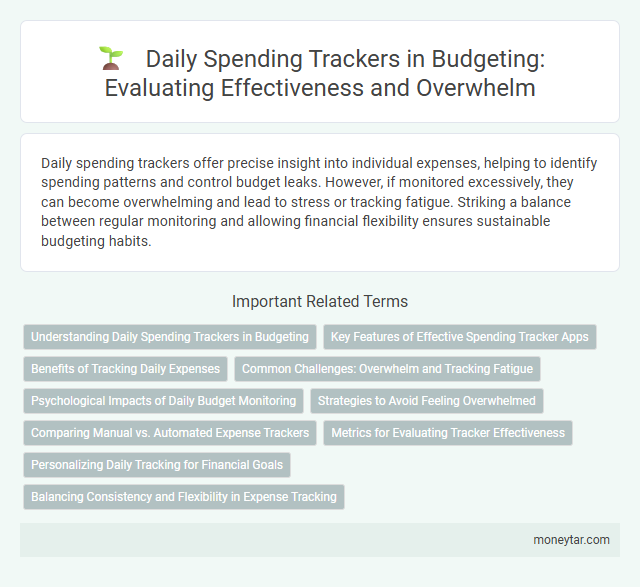 Daily Spending Trackers in Budgeting: Evaluating Effectiveness and Overwhelm