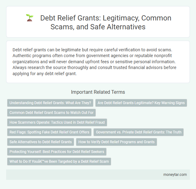 Debt Relief Grants: Legitimacy, Common Scams, and Safe Alternatives