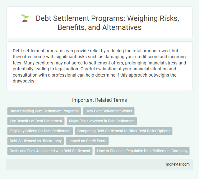 Debt Settlement Programs: Weighing Risks, Benefits, and Alternatives