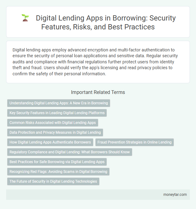 Digital Lending Apps in Borrowing: Security Features, Risks, and Best Practices
