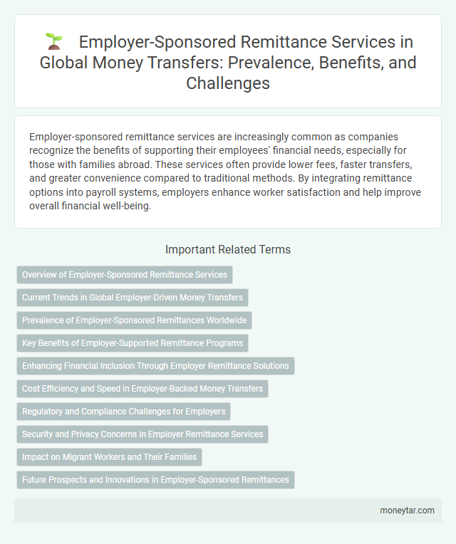 Employer-Sponsored Remittance Services in Global Money Transfers: Prevalence, Benefits, and Challenges