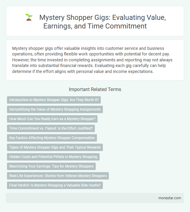 Mystery Shopper Gigs: Evaluating Value, Earnings, and Time Commitment
