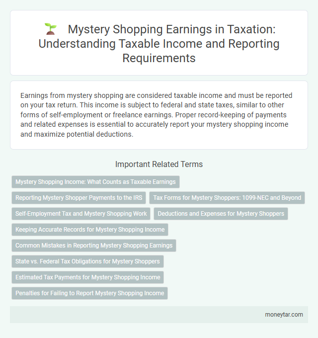 Mystery Shopping Earnings in Taxation: Understanding Taxable Income and Reporting Requirements