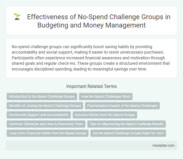 Effectiveness of No-Spend Challenge Groups in Budgeting and Money Management