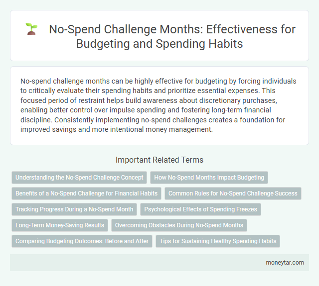 No-Spend Challenge Months: Effectiveness for Budgeting and Spending Habits