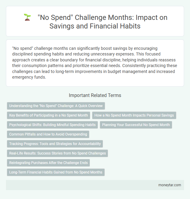 No Spend Challenge Months: Impact on Savings and Financial Habits