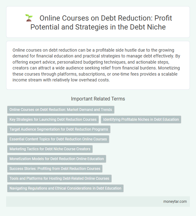 Online Courses on Debt Reduction: Profit Potential and Strategies in the Debt Niche