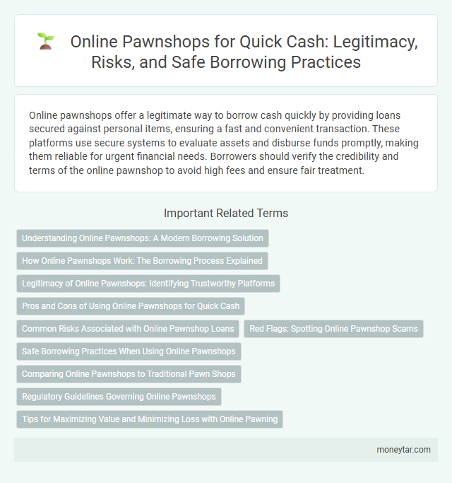 Online Pawnshops for Quick Cash: Legitimacy, Risks, and Safe Borrowing Practices