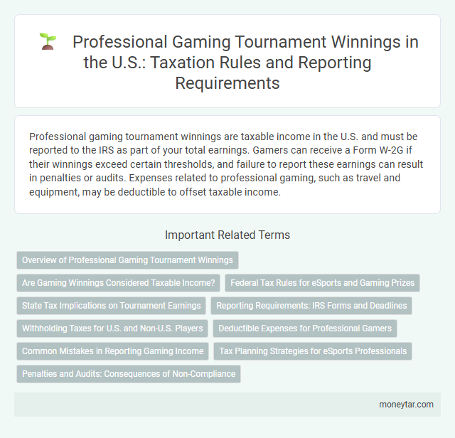 Professional Gaming Tournament Winnings in the U.S.: Taxation Rules and Reporting Requirements