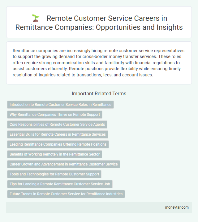 Remote Customer Service Careers in Remittance Companies: Opportunities and Insights