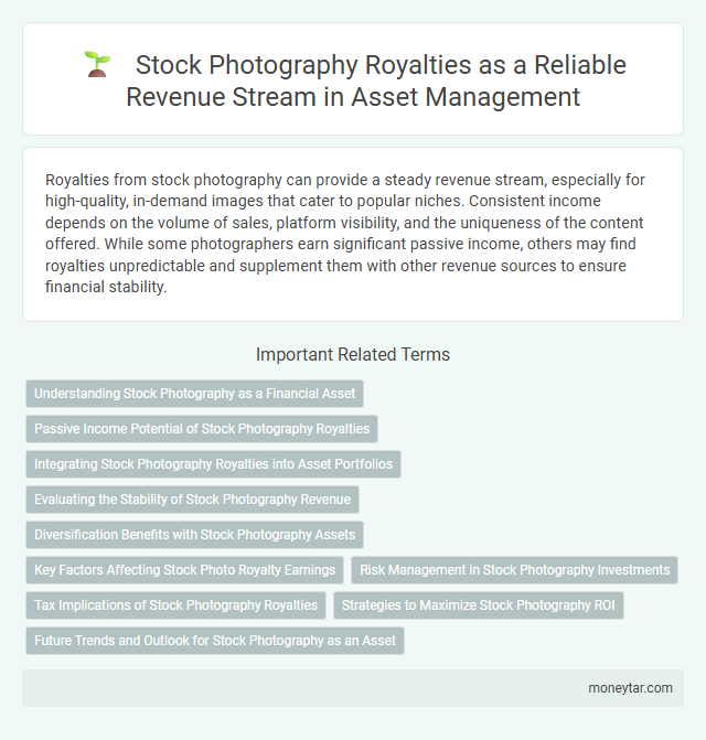 Stock Photography Royalties as a Reliable Revenue Stream in Asset Management