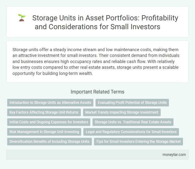 Storage Units in Asset Portfolios: Profitability and Considerations for Small Investors